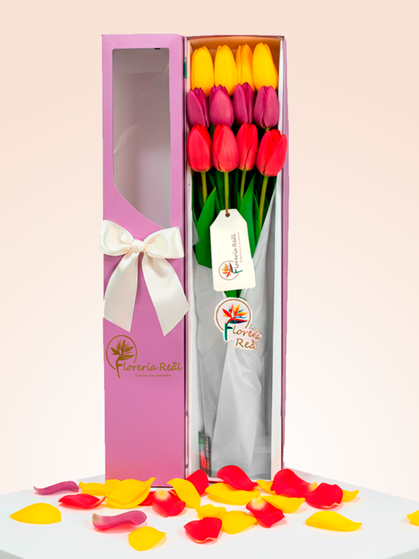 CAJA DE 12 TULIPANES