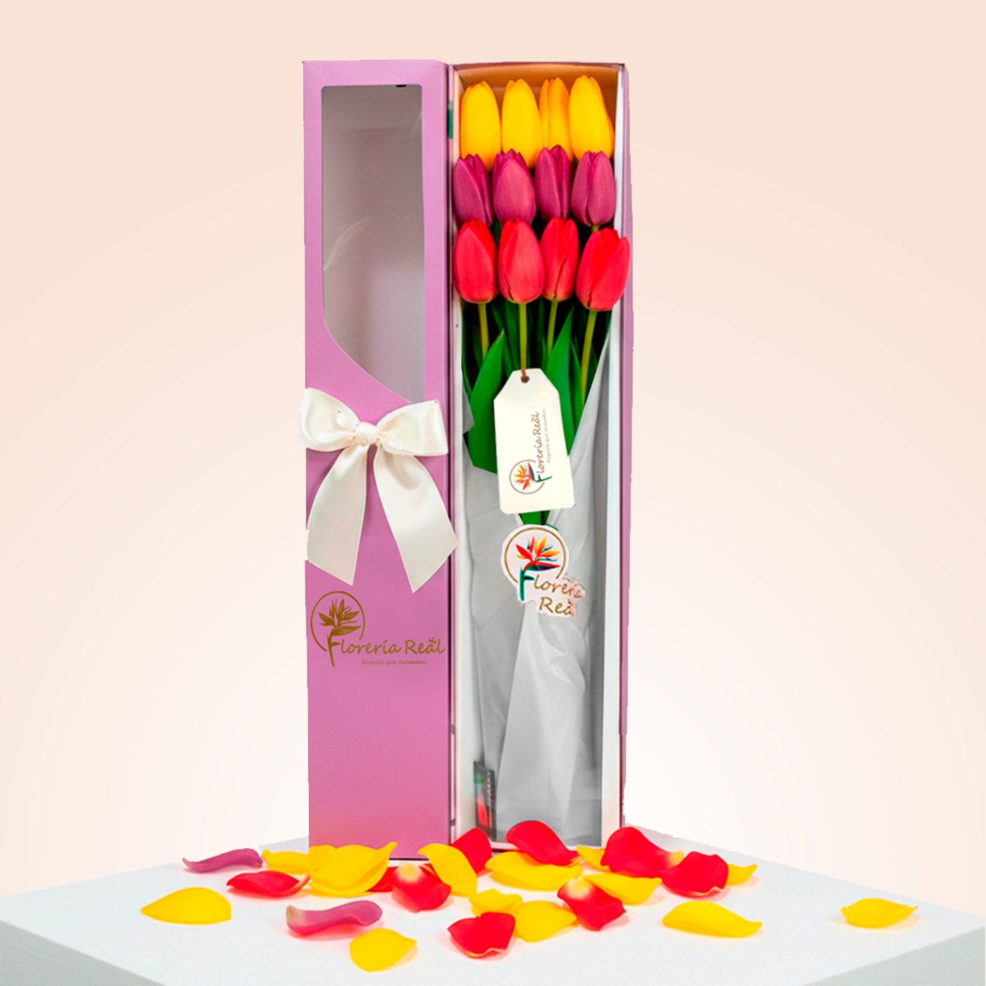 CAJA DE 12 TULIPANES
