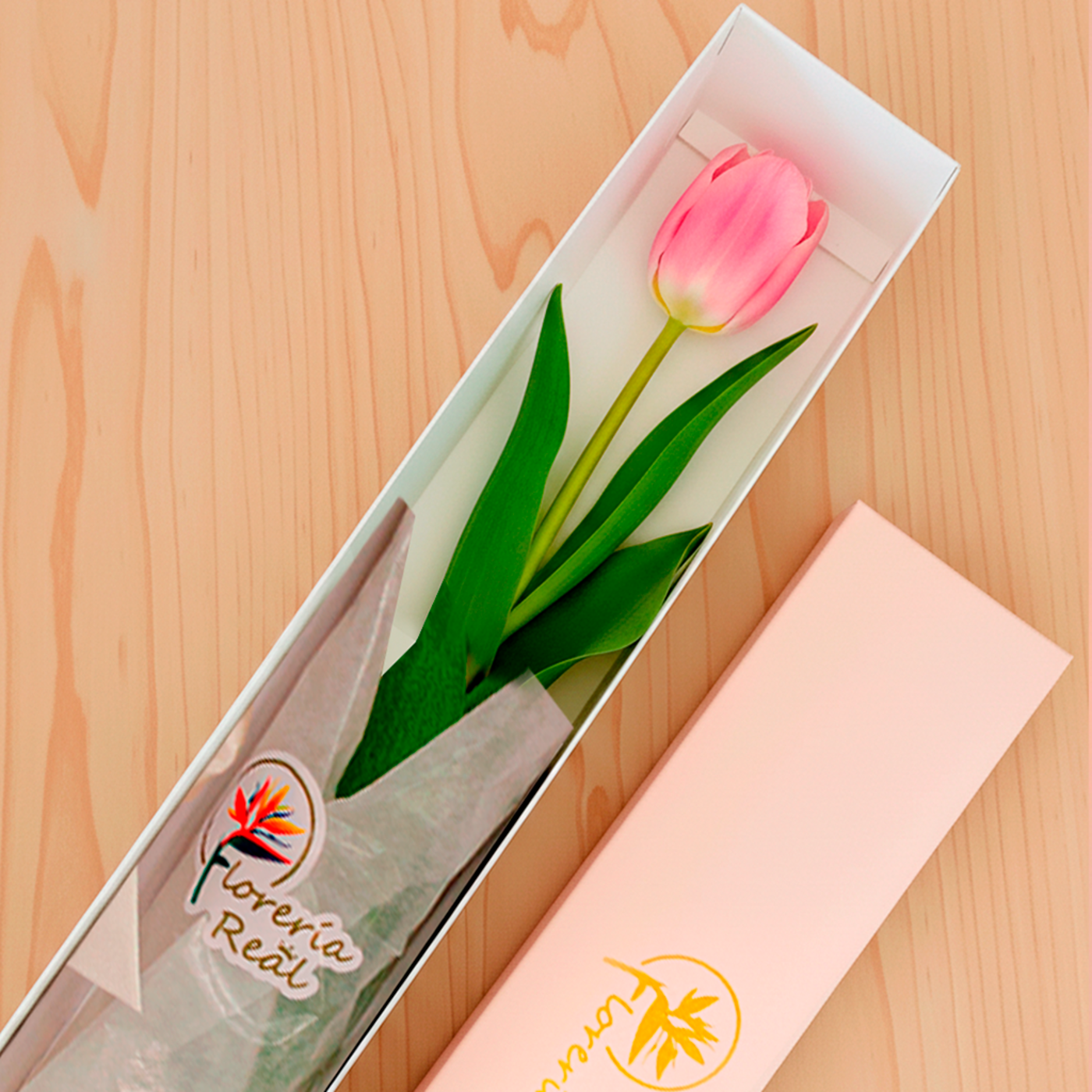 CAJA DE 1 TULIPAN