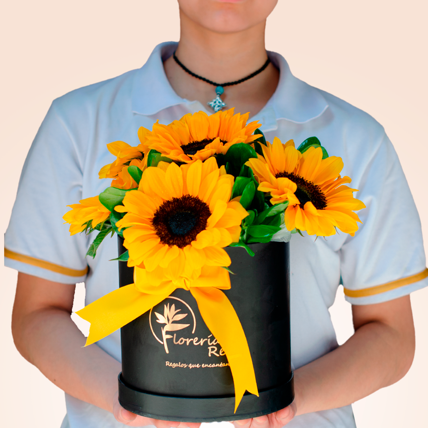 BOX DE 6 GIRASOLES