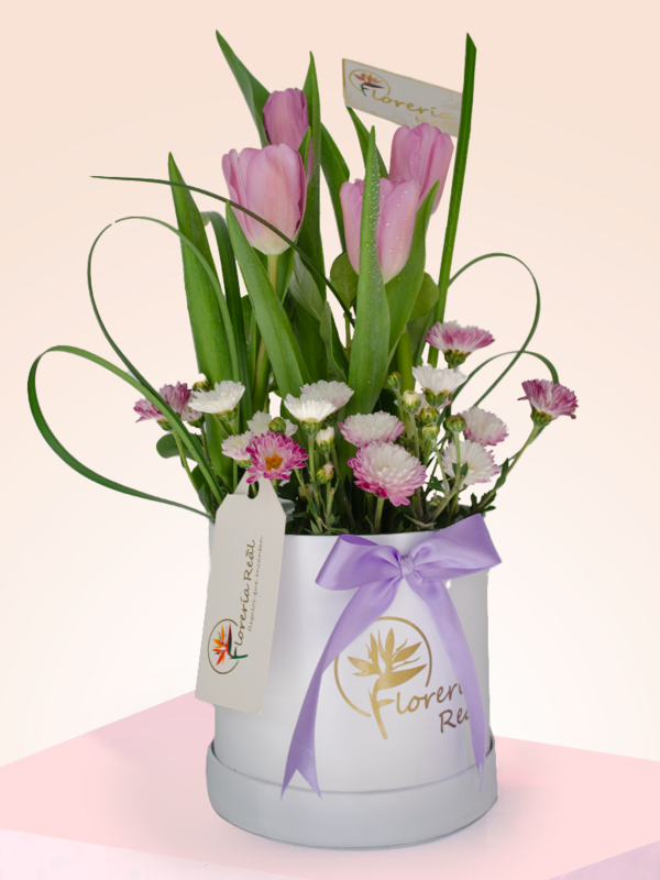 BOX TULIPANES MORADOS