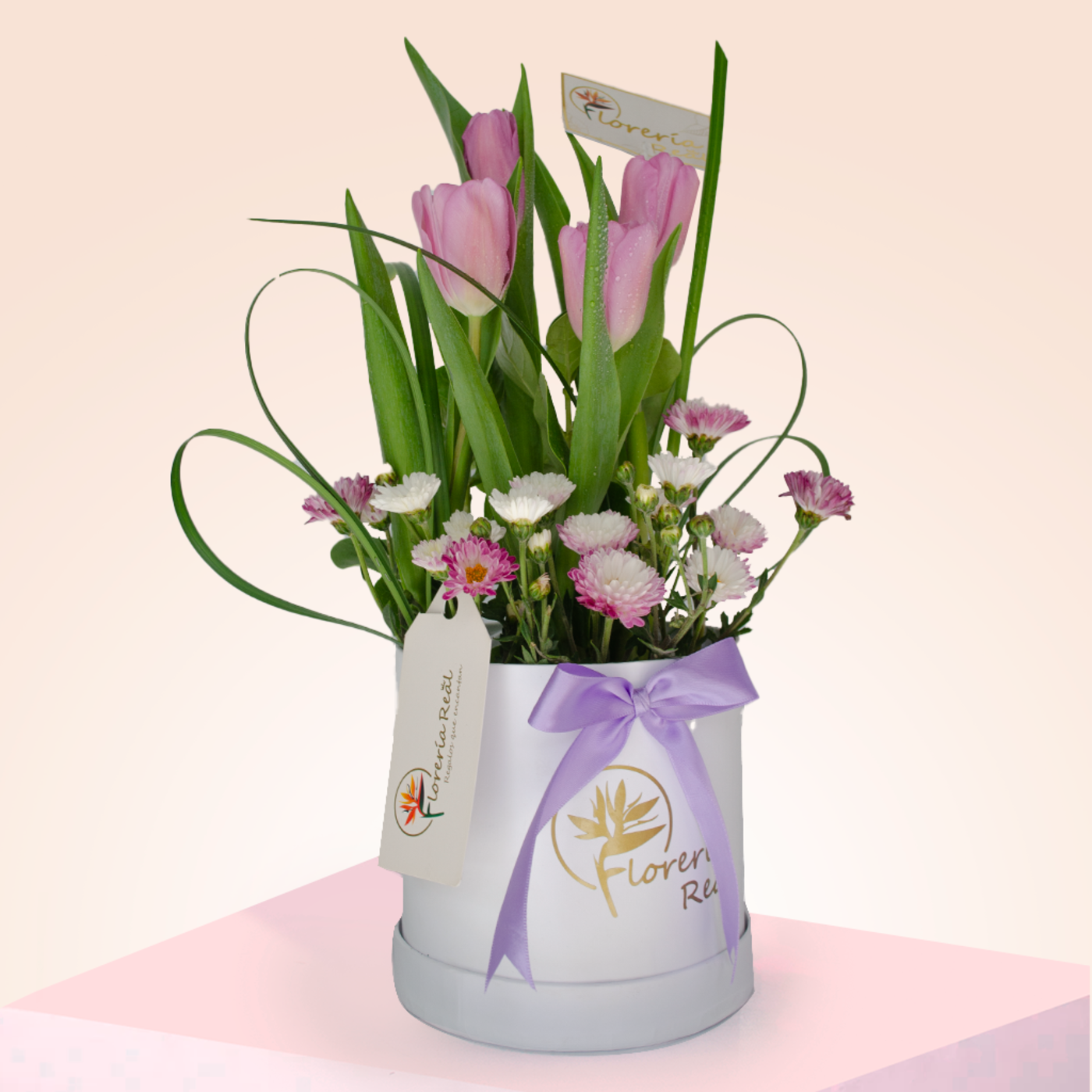 BOX TULIPANES MORADOS