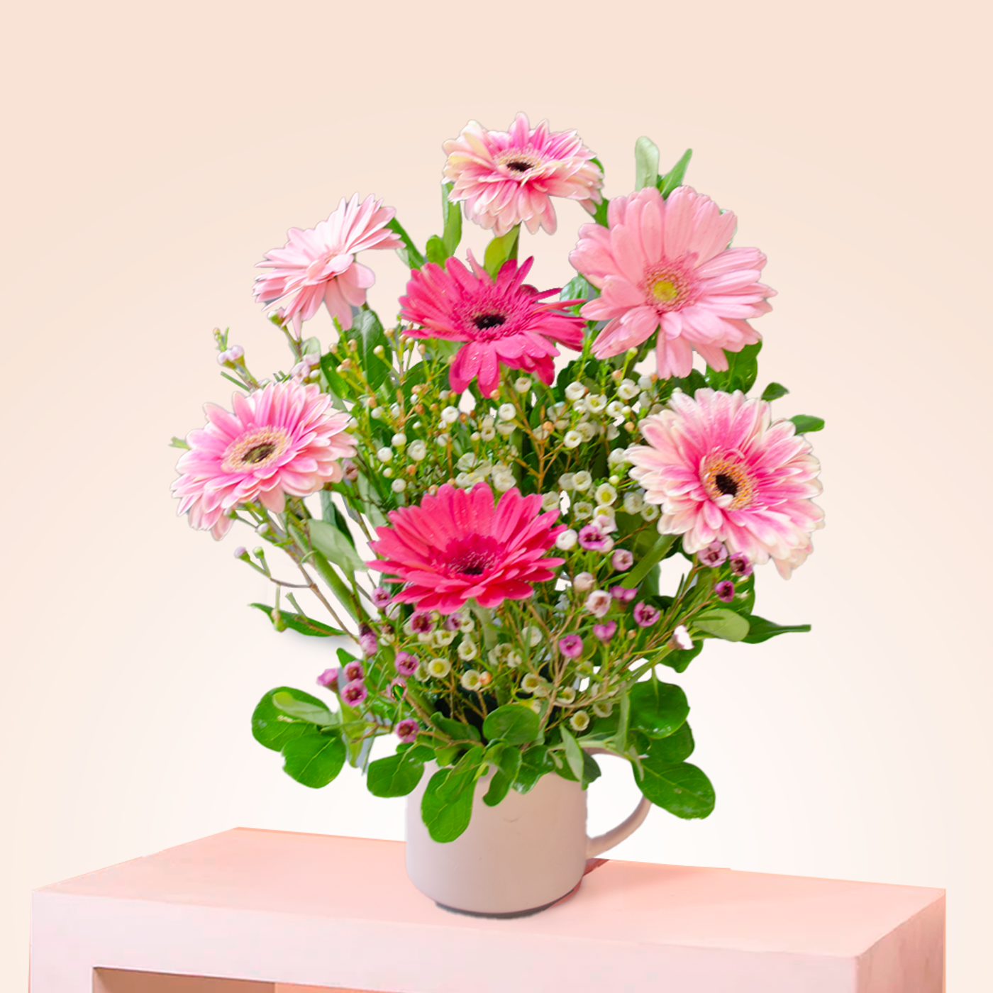 TACITA SPRING