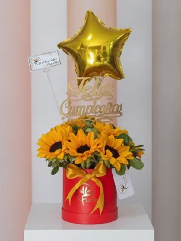 Box Gala de Girasoles y Estrella