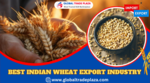 Analyzing The Challenges and Opportunities in The Indian Wheat Export Industry ,2024