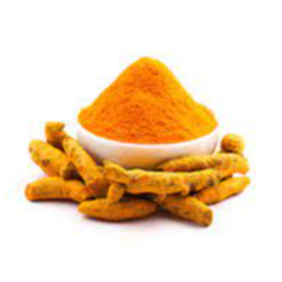 resources of turmeric(powder, whole) exporters