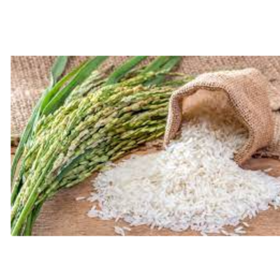 resources of rice exporters