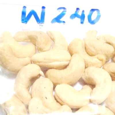 resources of W 240 Grade Cashew Kernels exporters