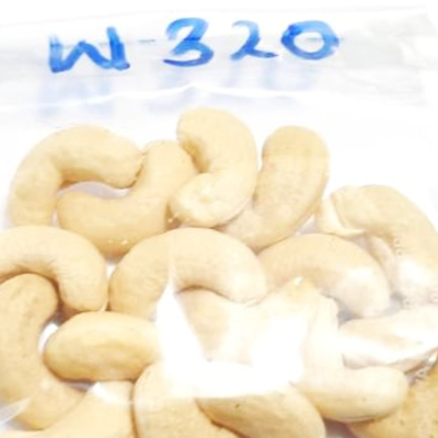 resources of W 320 Grade Cashew Kernels exporters