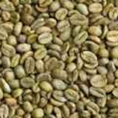 resources of Green Arabica Coffee exporters
