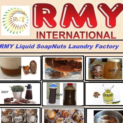 resources of soap nuts loundry exporters