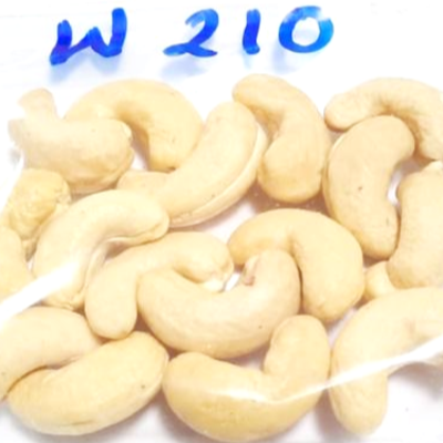 resources of W 210 Grade Cashew Kernels exporters