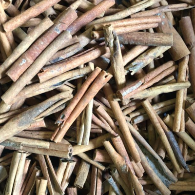 resources of Cassia Cinnamon Cutting Stick Grade 3 exporters