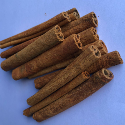 resources of Cutting Cinnamon Stick exporters