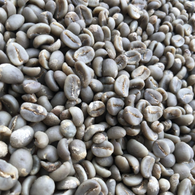resources of Arabica Fullwashed Coffee Beans exporters