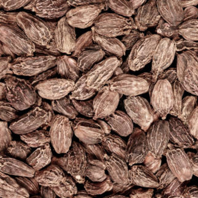 resources of Green & Black Cardamom exporters