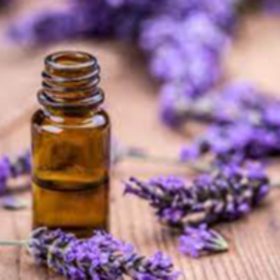 resources of Lavender oil exporters