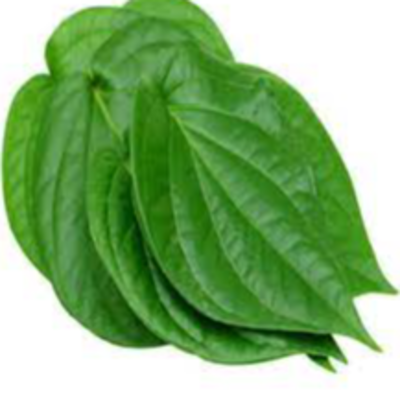 resources of Betel leaf exporters