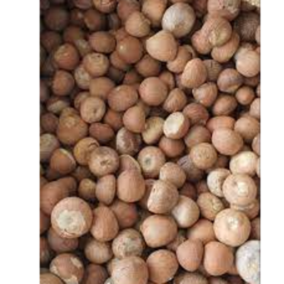 resources of Betal nut exporters