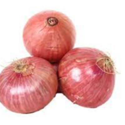 resources of onion exporters