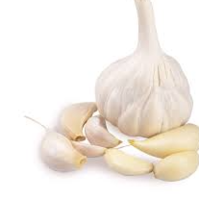 resources of garlic exporters