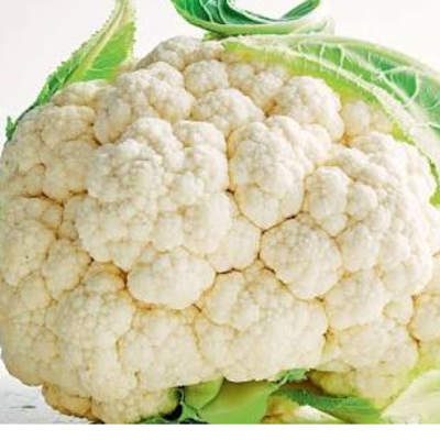 resources of Cauliflower exporters
