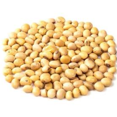 resources of Soybeans exporters