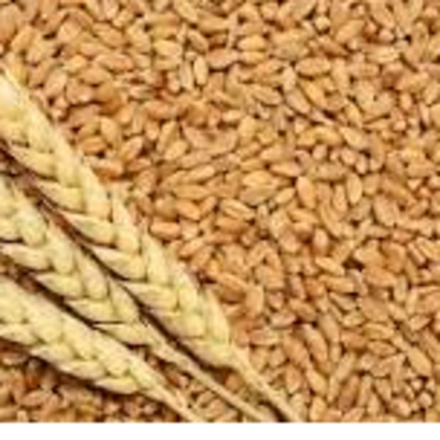resources of Wheat exporters