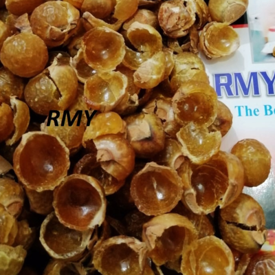 resources of SOAP NUT SHELL exporters