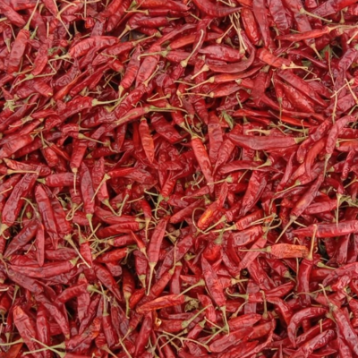 resources of 334 Medium Best  Dry Red Chilli exporters