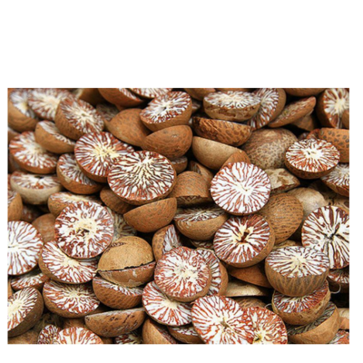 resources of Hight quality Price cheap Betel Nut from Hang Xanh exporters
