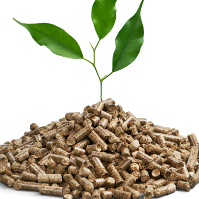 resources of Wood pellet exporters