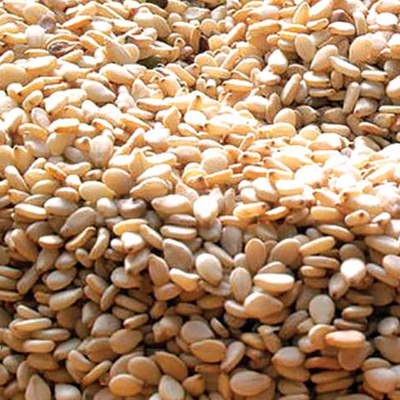 resources of Burkina Faso Sesame Seeds exporters