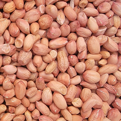 resources of Chalimbana Peanuts exporters