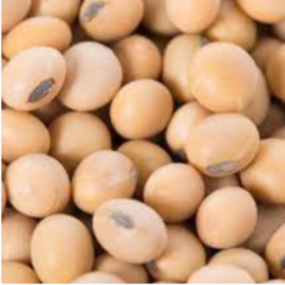 resources of Soya Beans exporters