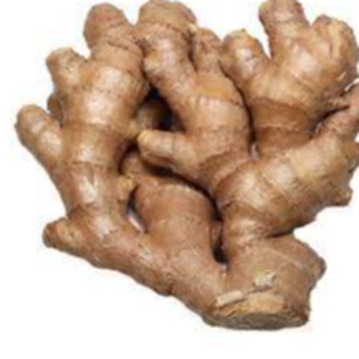 resources of Ginger (Fresh &Dried) exporters