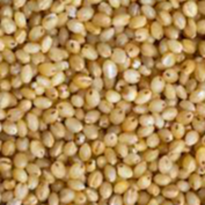 resources of Millet exporters