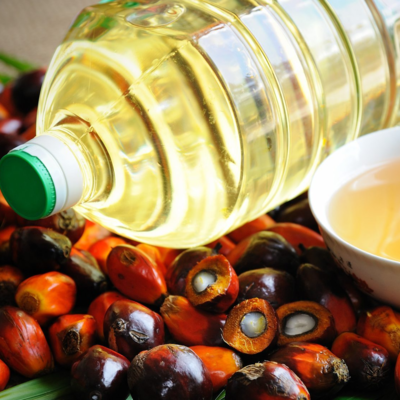 resources of Palm Oil exporters