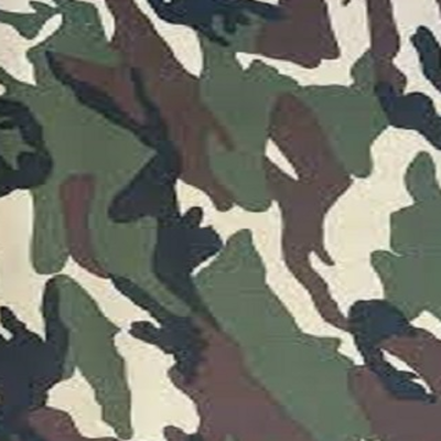 resources of Camouflage Military Uniform Fabrics available for export by Buzzy Day Enterprises exporters