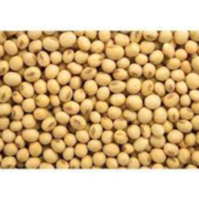 resources of SOYABEANS exporters