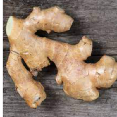 resources of GINGER exporters