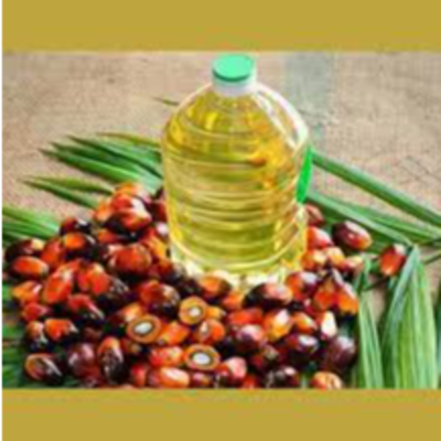 resources of Palm oil exporters