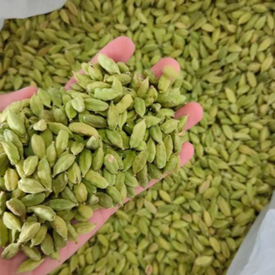 resources of GREEN CARDAMOM exporters