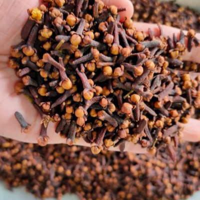 resources of CLOVES exporters