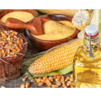 resources of CORN AND DERIVATES exporters