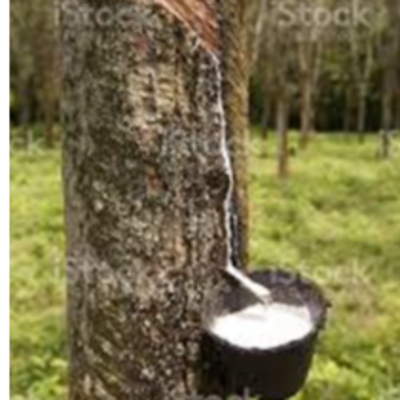 resources of Rubber exporters