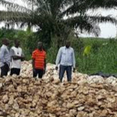 resources of Kola nuts exporters