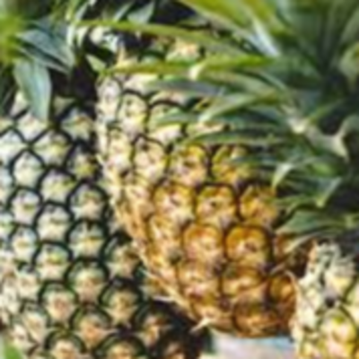 resources of Pineapple exporters