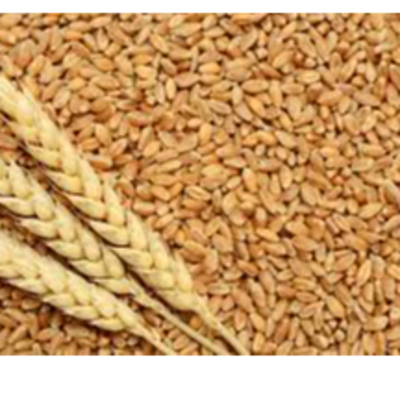resources of wheat exporters