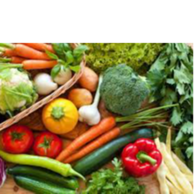 resources of vegetables exporters